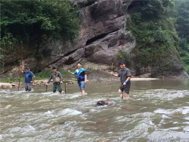 圖片16 圖片16