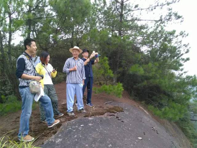 圖片17 圖片17